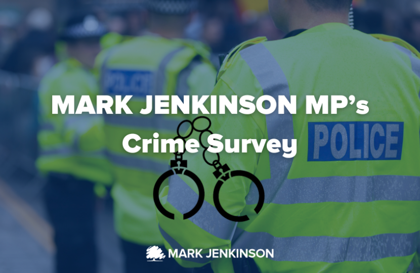Crime Survey
